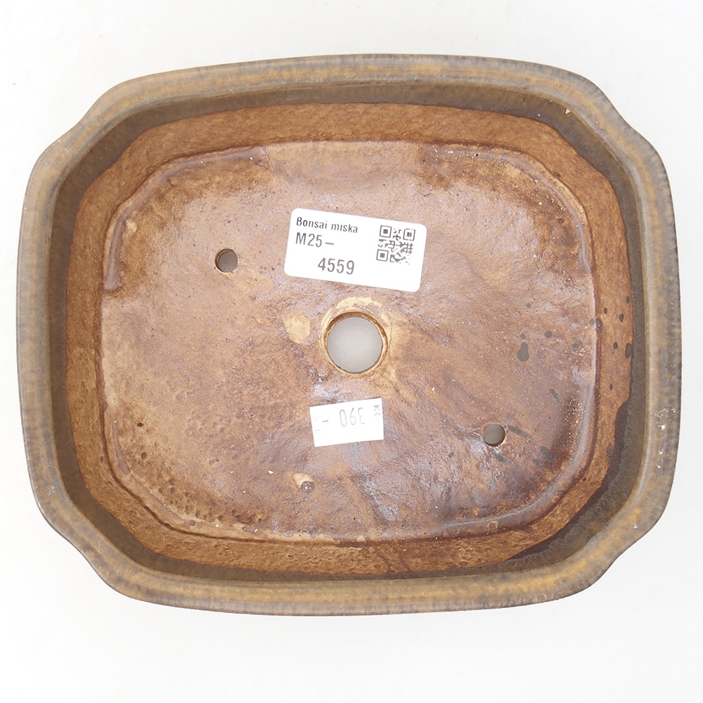 Cuenco bonsái de cerámica 17 x 14,5 x 5 cm, marrón