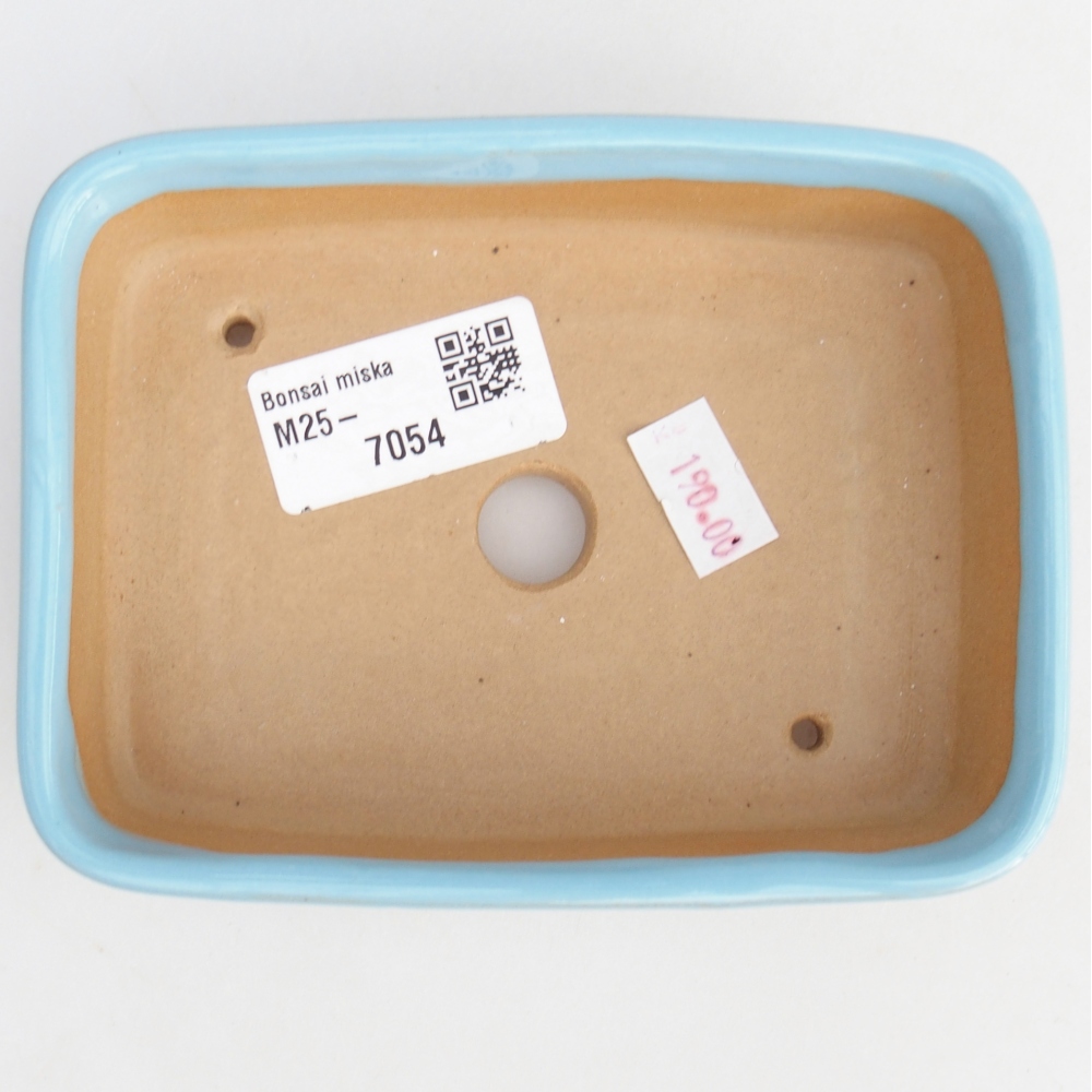 Cuenco bonsái de cerámica 12,5 x 9,5 x 3,5 cm, color azul