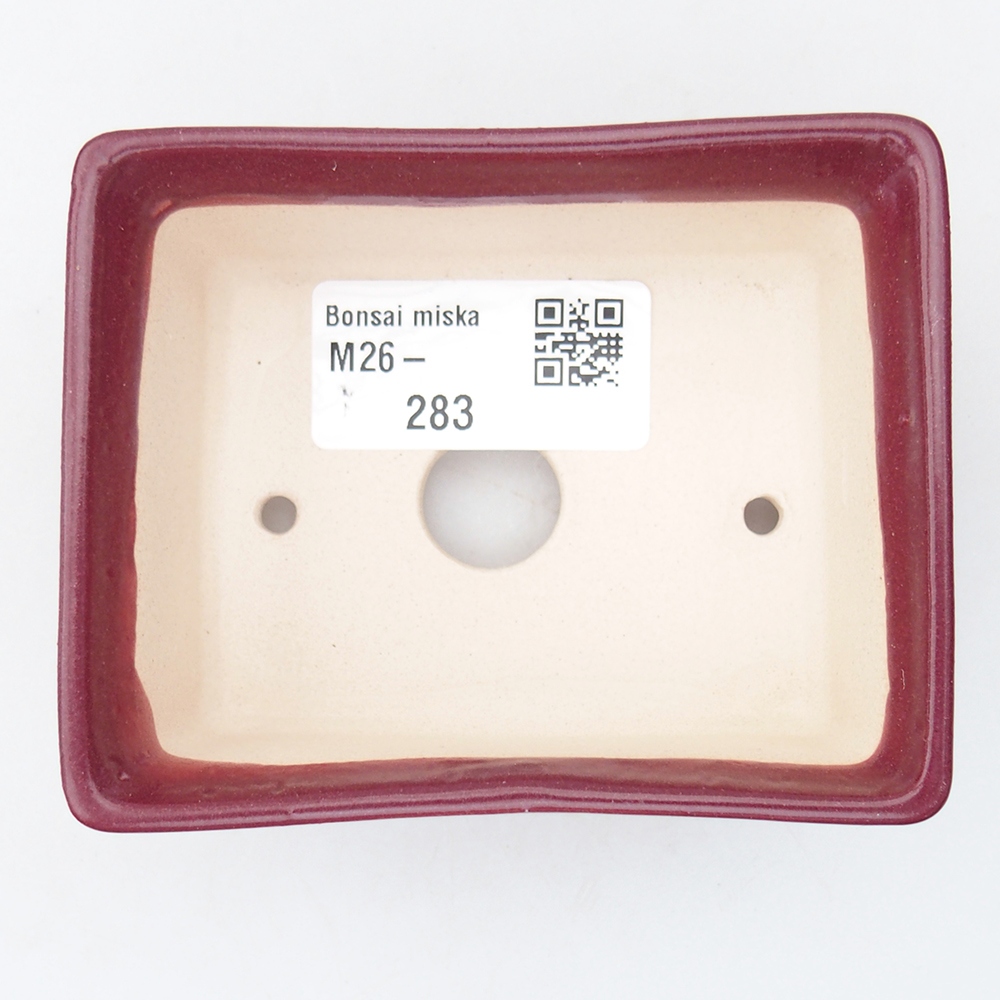 Cuenco mini bonsái 9 x 7 x 4 cm, burdeos