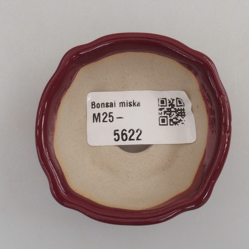 Cuenco mini bonsái 6 x 6 x 2,5 cm, burdeos