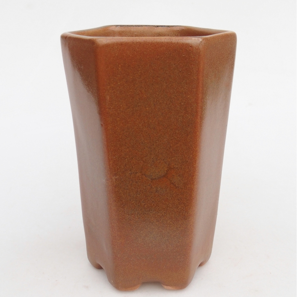 Cuenco bonsái de cerámica 10 x 8,5 x 14,5 cm, marrón