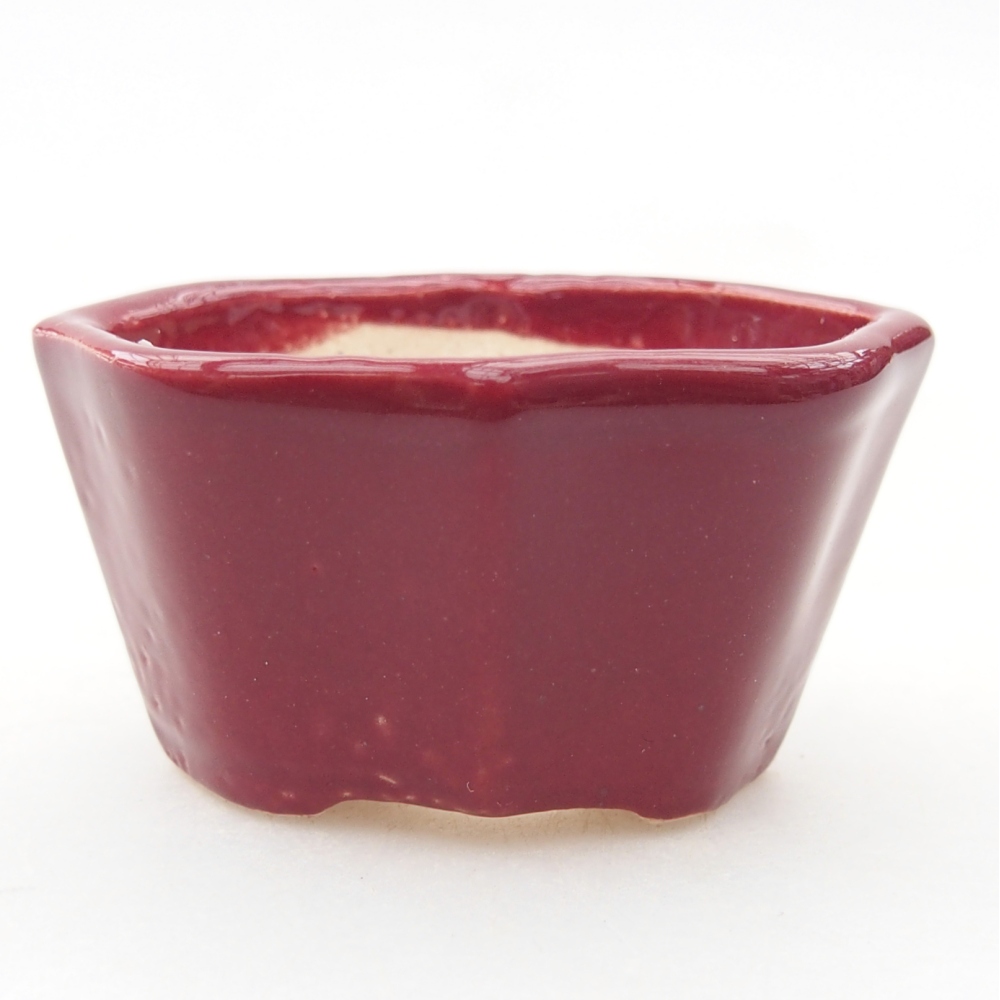 Cuenco mini bonsái 4,5 x 3 x 2,5 cm, burdeos
