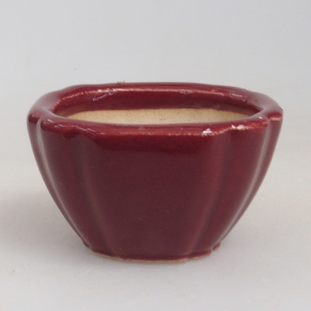 Cuenco mini bonsái 4,5 x 4,5 x 2,5 cm, burdeos