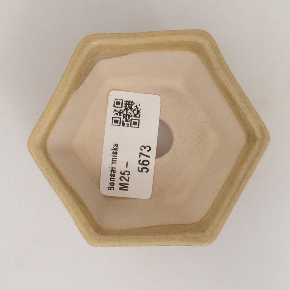 Mini cuenco bonsái 8 x 7 x 4 cm, marrón