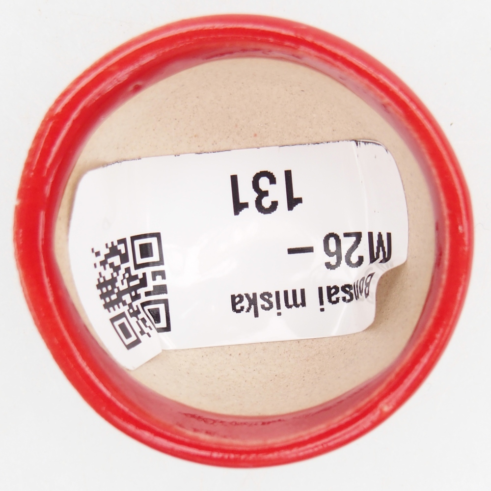 Cuenco mini bonsái 4 x 4 x 2,5 cm, color rojo