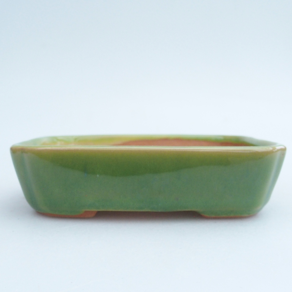 Cuenco bonsái de cerámica 12 x 9 x 3 cm, verde