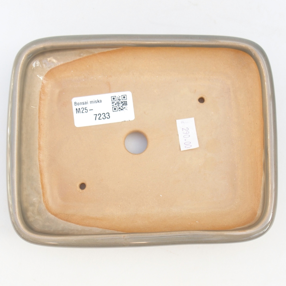 Cuenco bonsái de cerámica 16,5 x 13,5 x 3,5 cm, gris