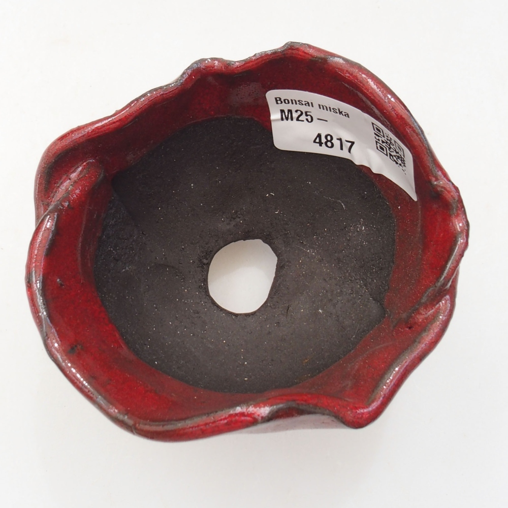 Concha de cerámica 8 x 8 x 7 cm , color rojo