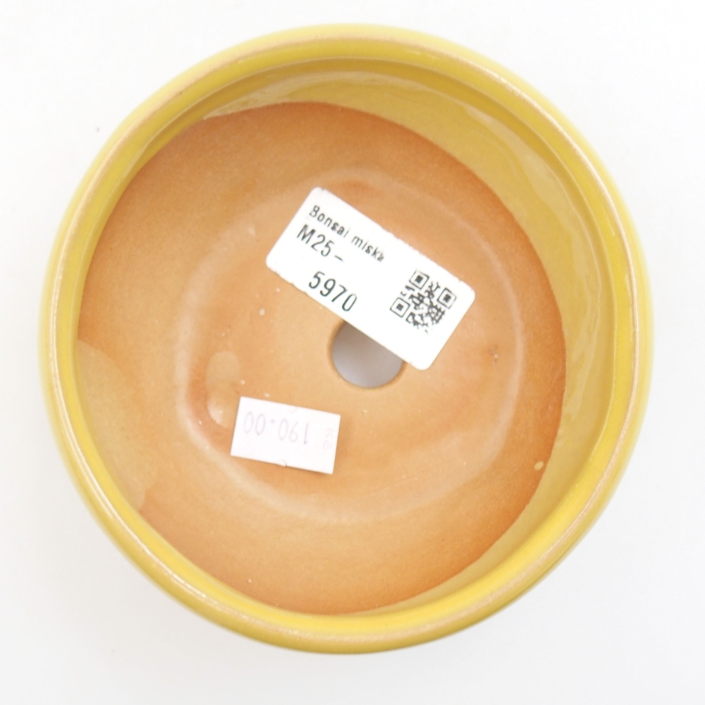 Cuenco bonsái de cerámica 22 x 17 x 5 cm, verde