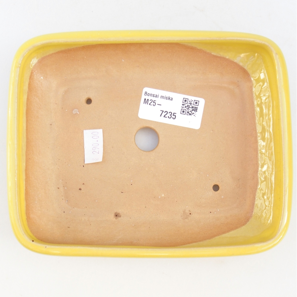 Cuenco bonsái de cerámica 16,5 x 13,5 x 3,5 cm, amarillo