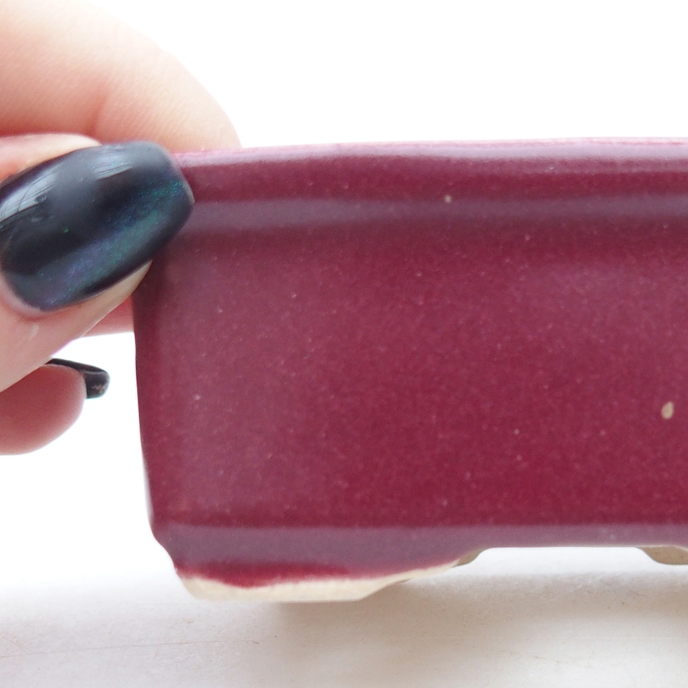 Mini cuenco bonsái 8 x 6,5 x 3,5 cm, burdeos