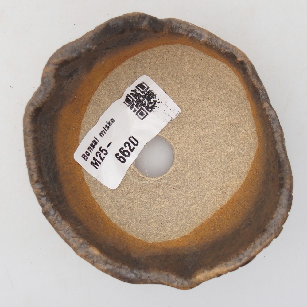 Concha de cerámica 8,5 x 8,5 x 7 cm , color marrón