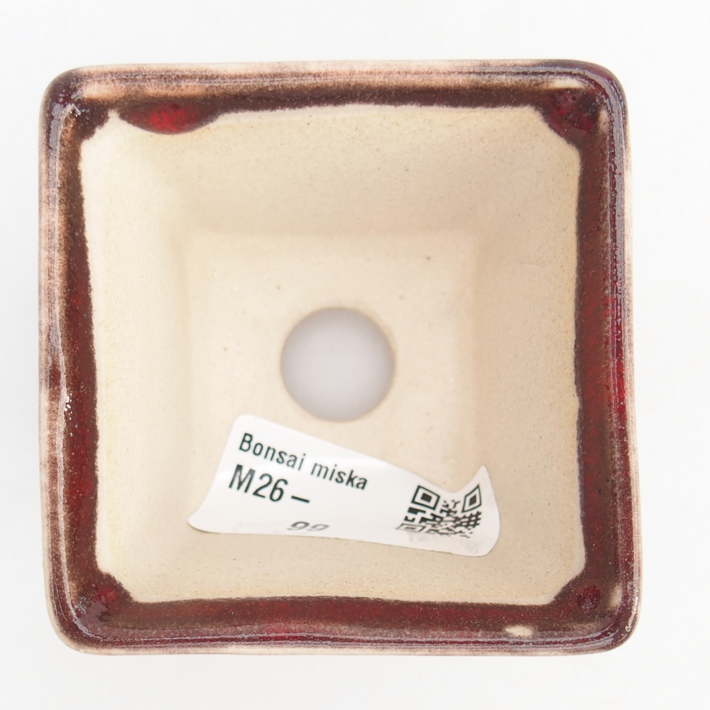 Cuenco mini bonsái 6 x 6 x 5 cm, color rojo