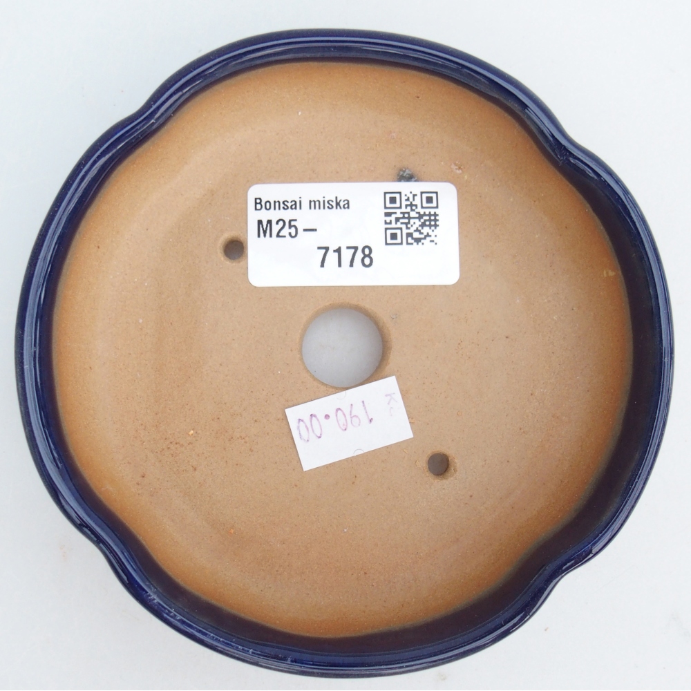 Cuenco bonsái de cerámica 11 x 11 x 3 cm, color azul