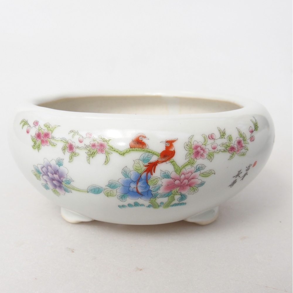 Cuenco bonsái de cerámica 10 x 10 x 5 cm, color blanco