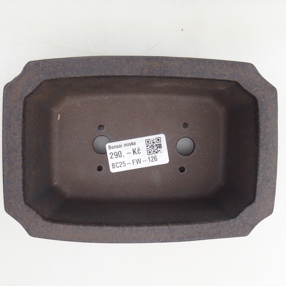 Cuenco bonsái de cerámica 15,5 x 10,5 x 6 cm, ocre parduzco