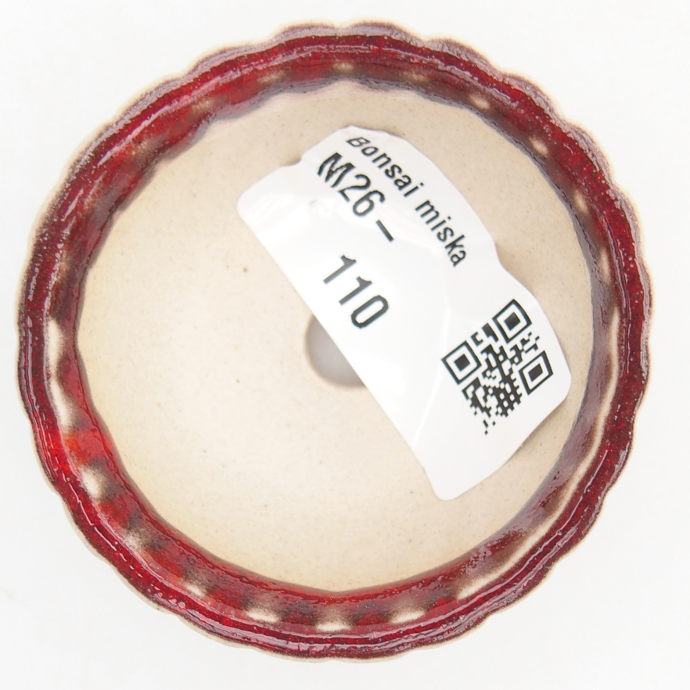 Mini cuenco bonsái 5,5 x 5,5 x 2,5 cm, color rojo