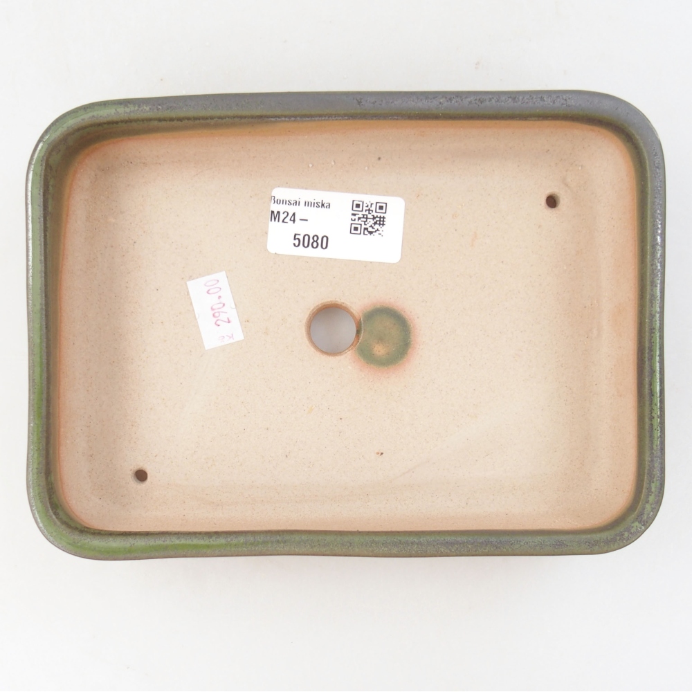 Cuenco bonsái de cerámica 18 x 13,5 x 4 cm, verde
