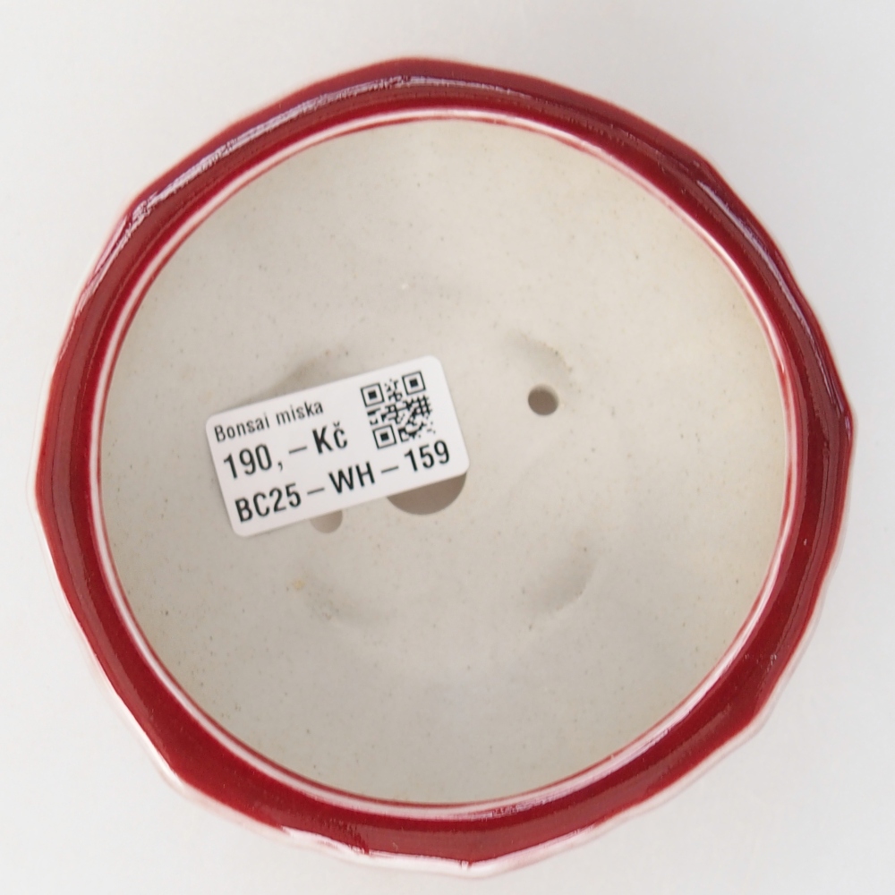 Cuenco bonsái de cerámica 11 x 11 x 5,5 cm, color rojo