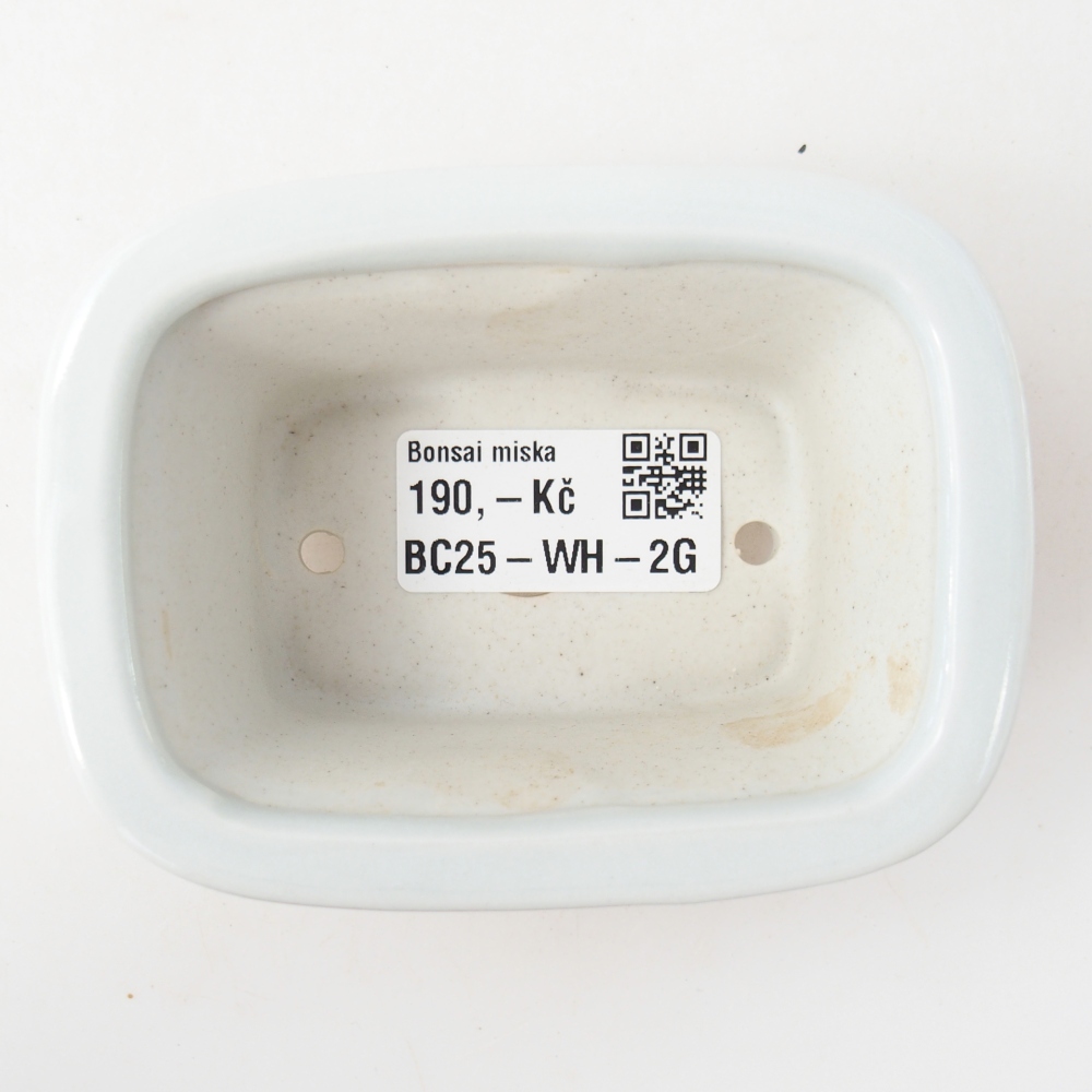 Cuenco mini bonsái 10 x 7,5 x 4 cm, color blanco