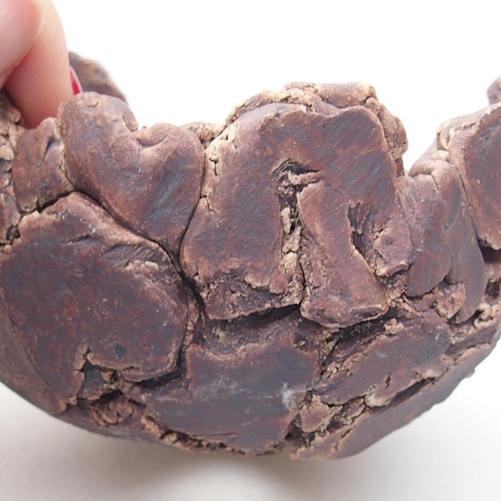 Concha de cerámica 9 x 9 x 6 cm , color marrón