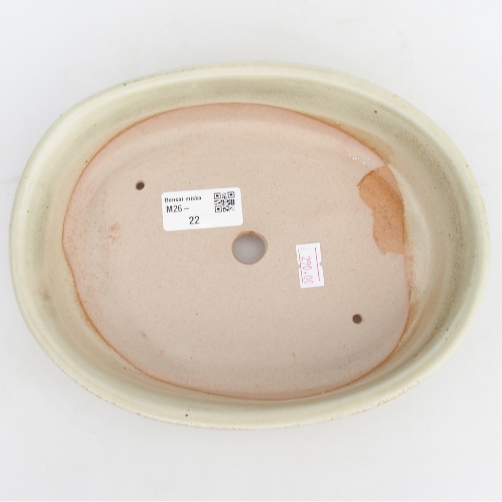 Cuenco bonsái de cerámica 21,5 x 17 x 5 cm, verde