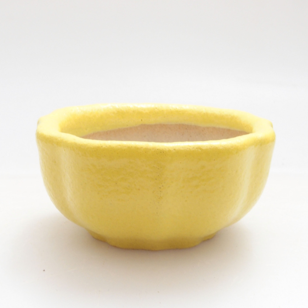 Cuenco bonsái de cerámica 5,5 x 5,5 x 3 cm, amarillo