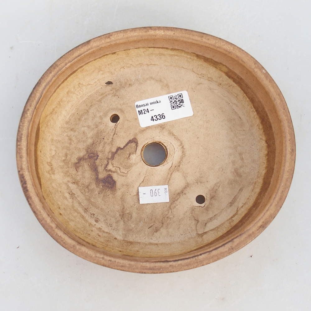 Cuenco bonsái de cerámica 18,5 x 16,5 x 4 cm, rosa