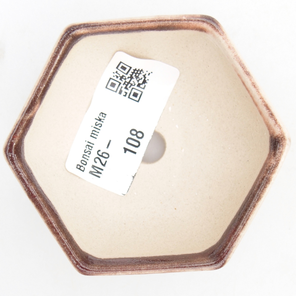 Mini cuenco bonsái 7 x 6 x 3 cm, color rojo