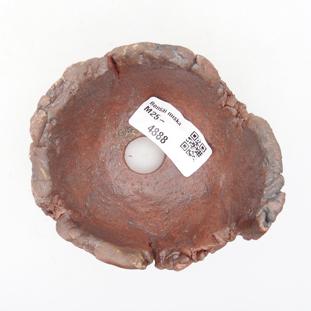 Concha de cerámica 10 x 9 x 7 cm , color marrón