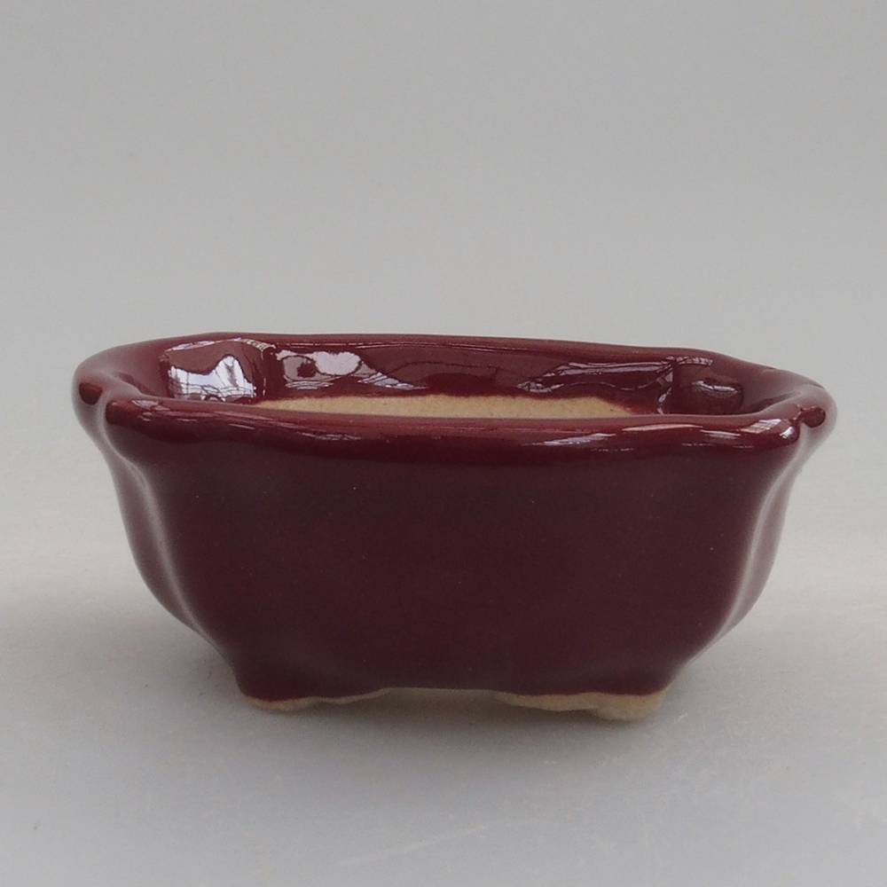 Cuenco mini bonsái 6 x 6 x 2,5 cm, burdeos