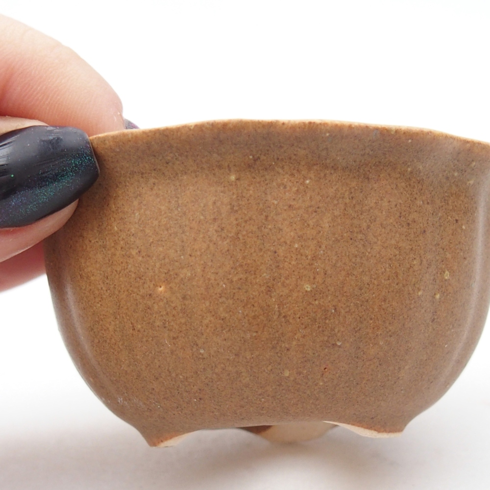 Cuenco mini bonsái 7,5 x 7,5 x 3,5 cm, marrón