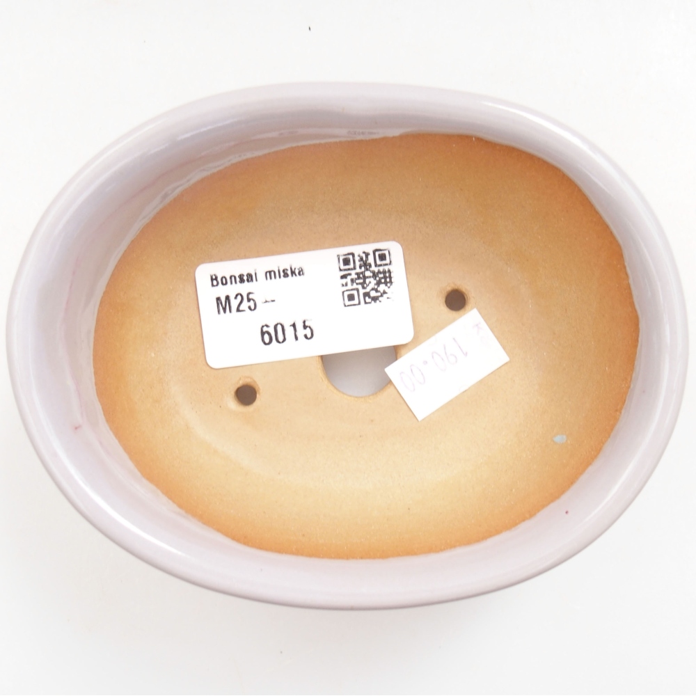 Cuenco bonsái de cerámica 22 x 17 x 5 cm, verde