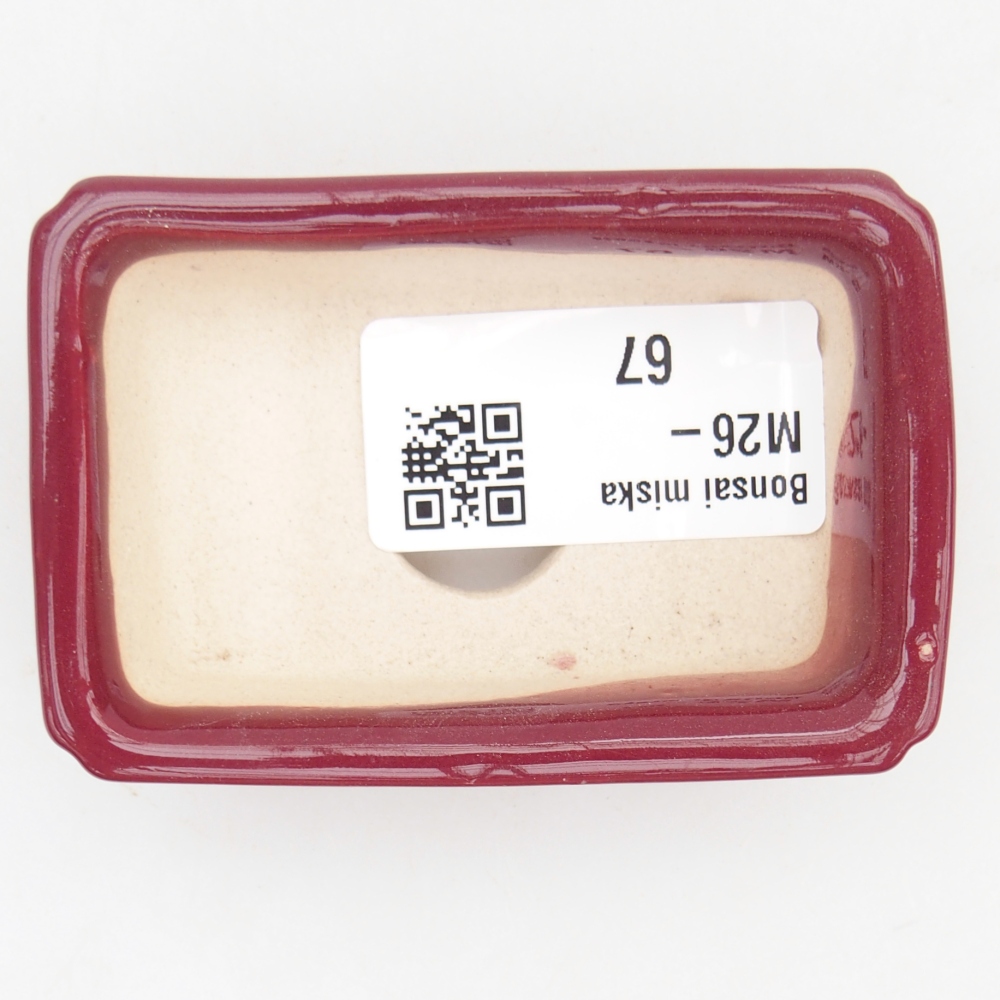 Cuenco mini bonsái 7,5 x 5 x 2 cm, burdeos