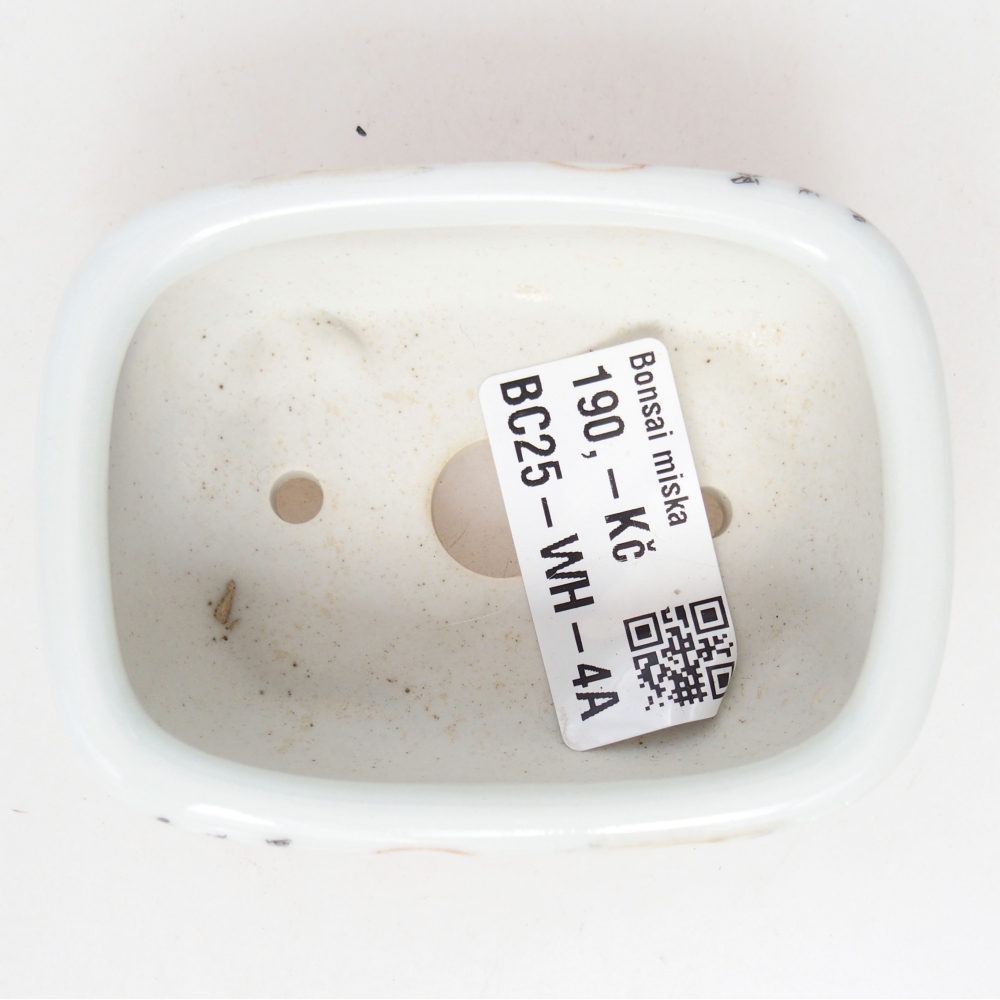 Mini cuenco bonsái 8 x 6 x 3 cm, blanco
