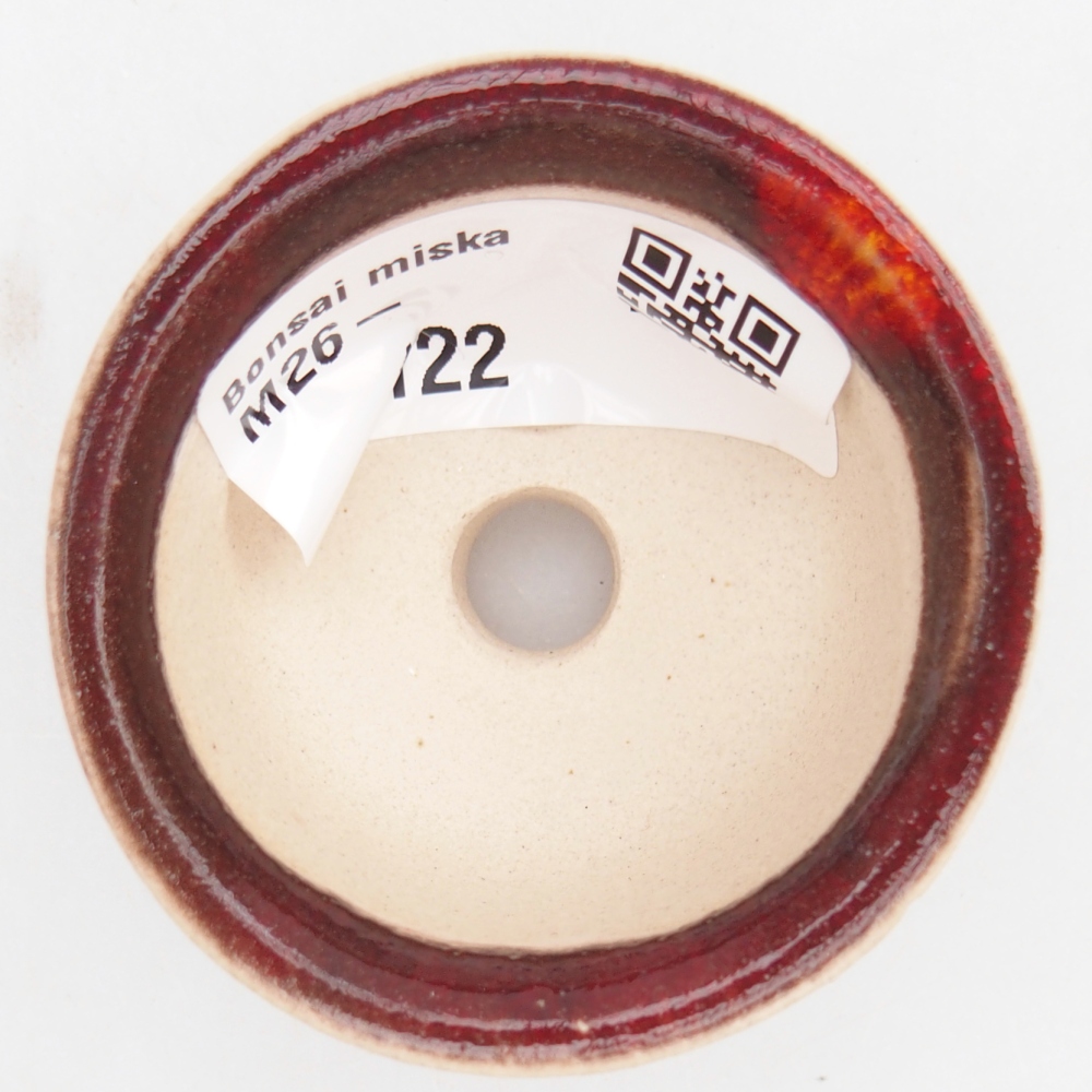 Mini cuenco bonsái 5 x 5 x 3 cm, color rojo