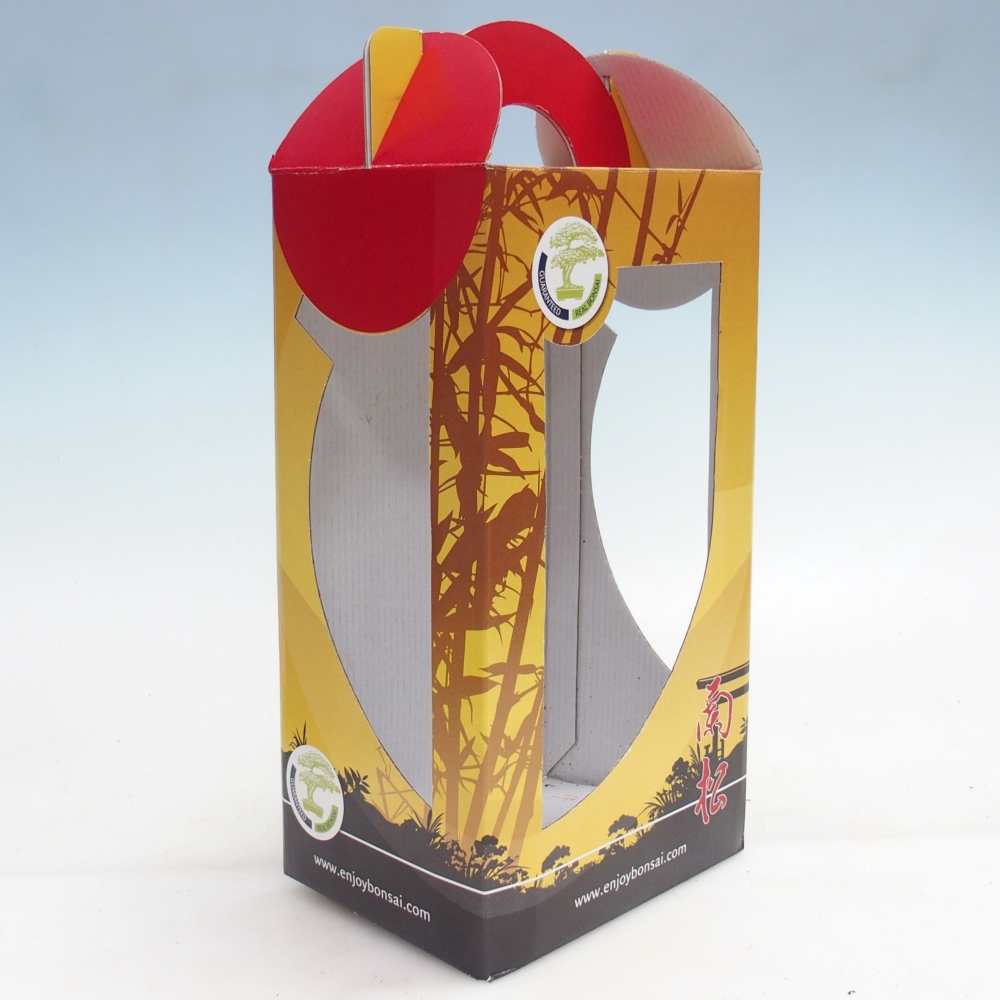 Caja regalo bonsái - papel