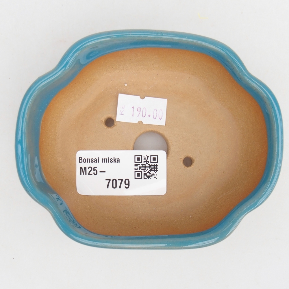 Cuenco bonsái de cerámica 10,5 x 9 x 3,5 cm, color azul