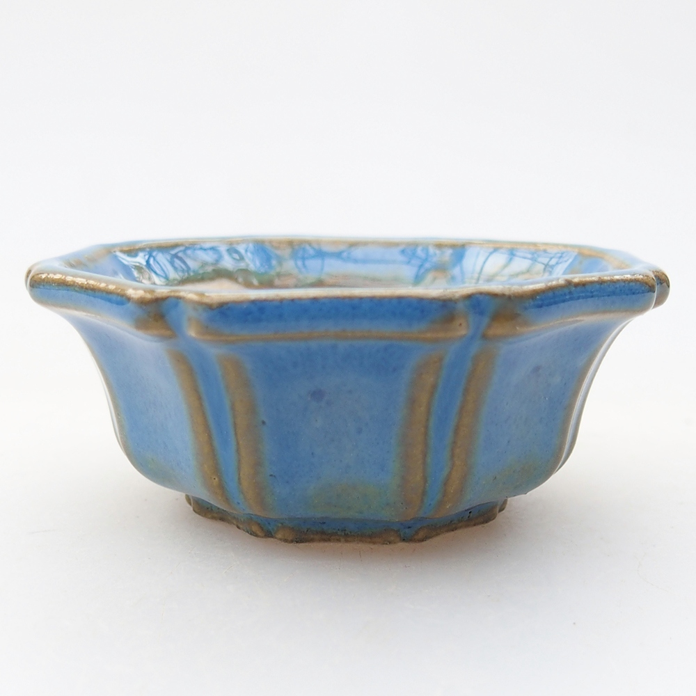 Cuenco mini bonsái 6 x 6 x 2,5 cm, color azul