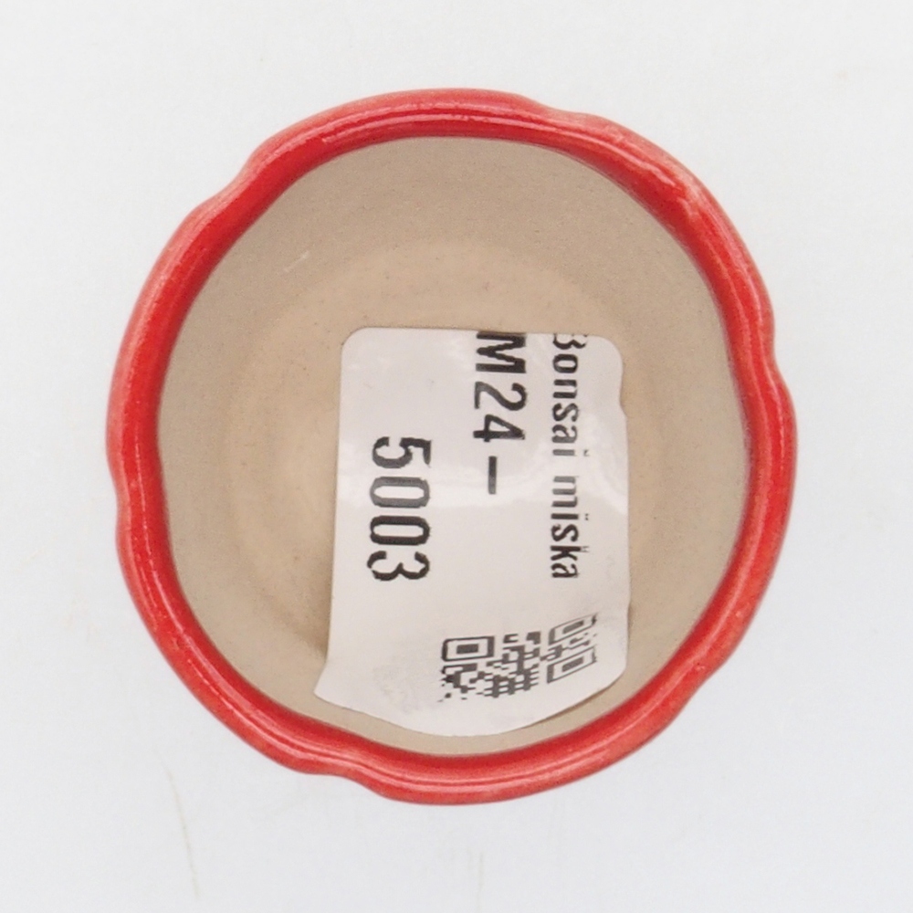 Mini cuenco bonsái 3,5 x 3,5 x 4 cm, color rojo