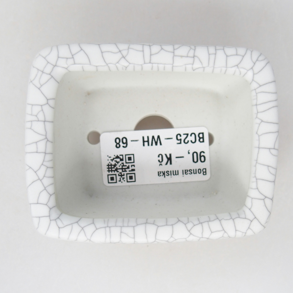 Mini cuenco bonsái 8 x 6,5 x 3,5 cm, color raku