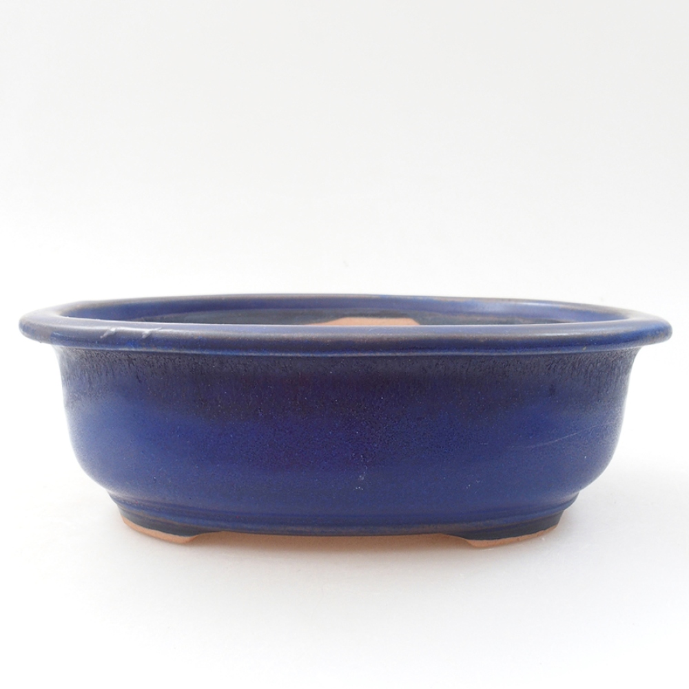 Cuenco bonsái de cerámica 18 x 14,5 x 6 cm, color azul
