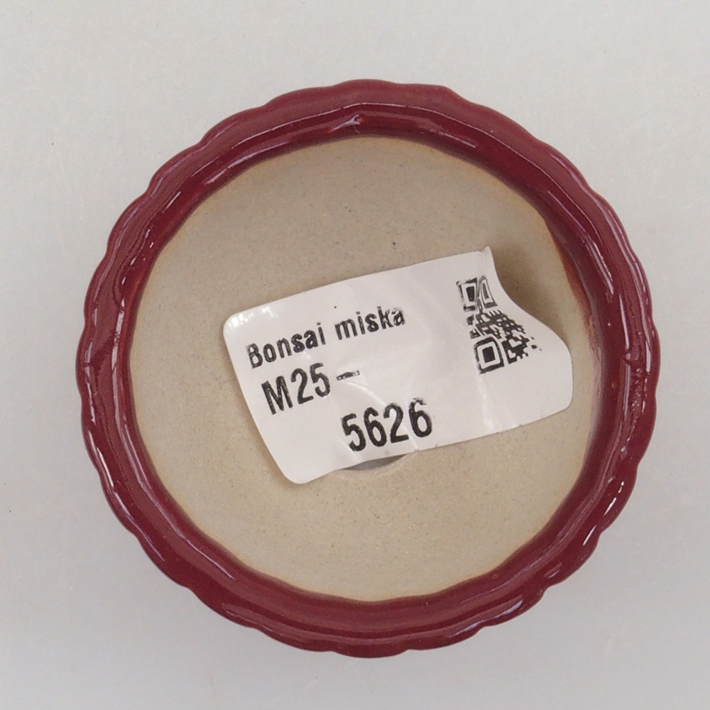 Mini cuenco bonsái 5 x 5 x 2,5 cm, color burdeos