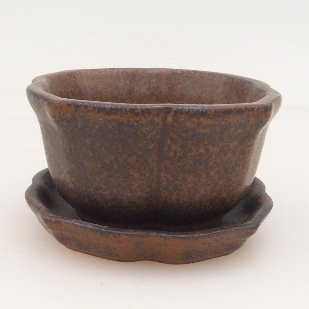 Bonsai cuenco + platillo H95 - marrón