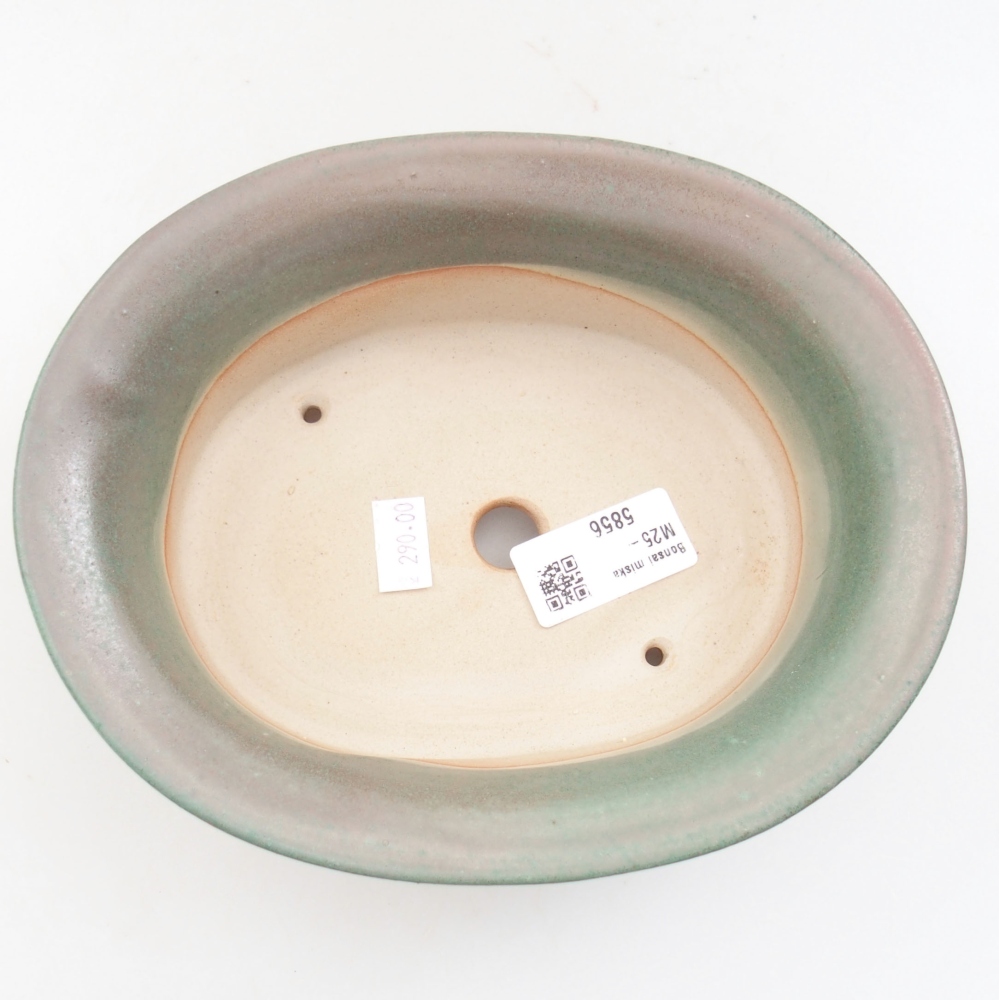 Cuenco bonsái de cerámica 22 x 17 x 5 cm, verde