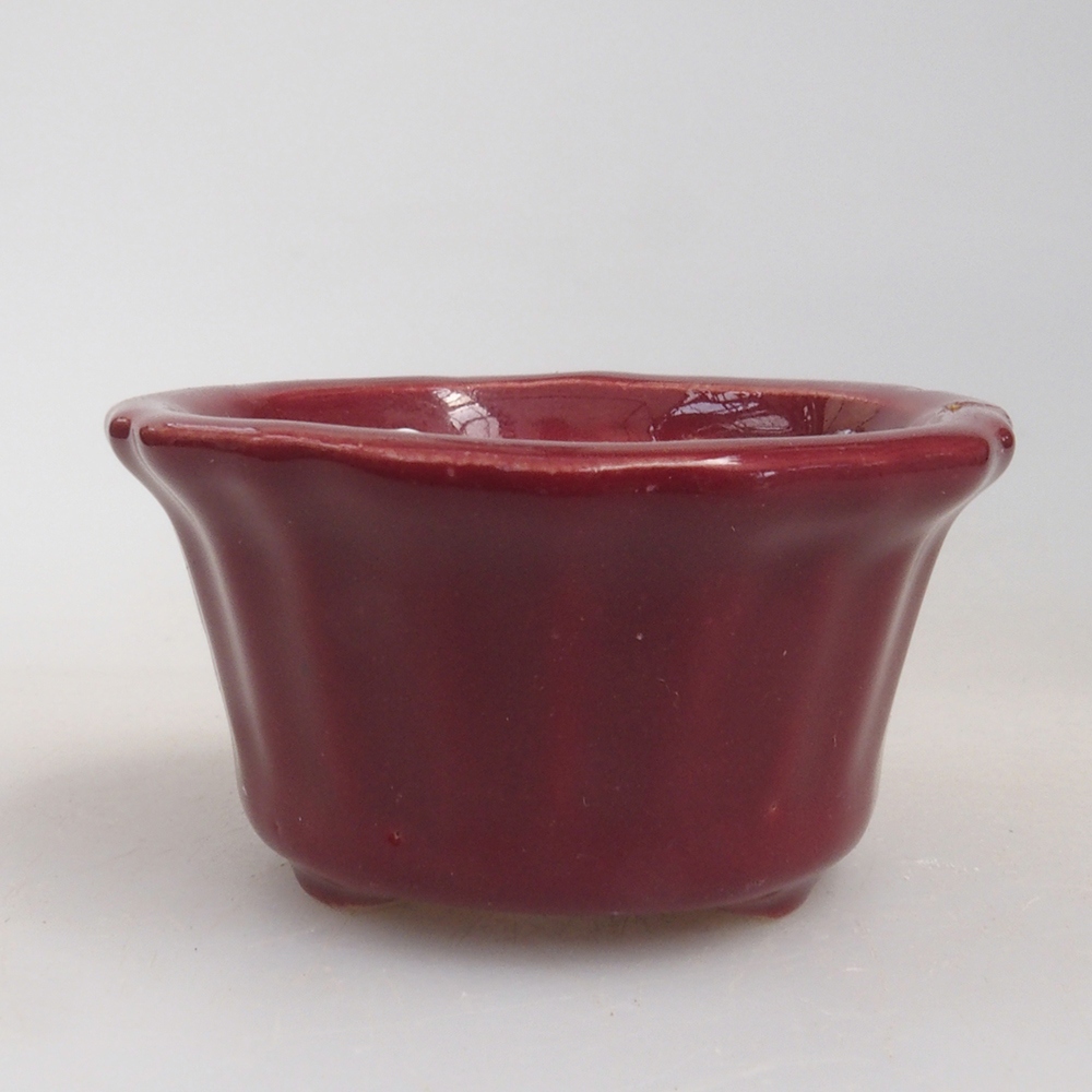 Mini cuenco bonsái 5 x 5 x 2,5 cm, color burdeos