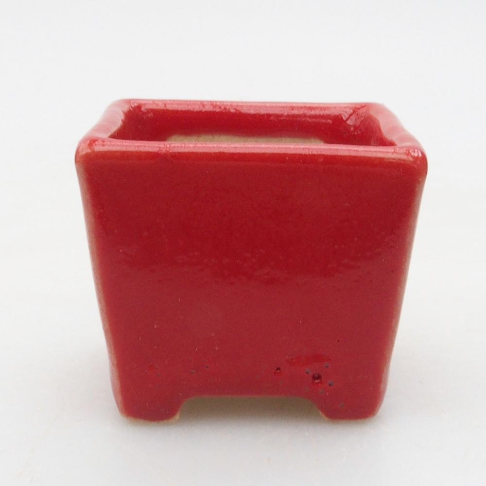 Mini cuenco bonsái 3,5 x 3,5 x 3 cm, color rojo