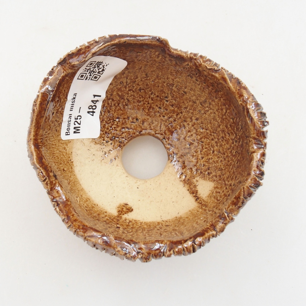 Concha de cerámica 8 x 7,5 x 6 cm , color marrón