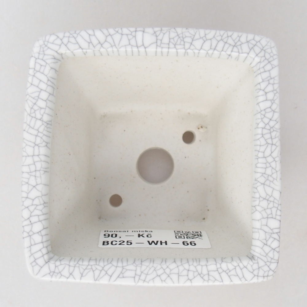 Cuenco bonsái de cerámica 8,5 x 8,5 x 5 cm, color raku