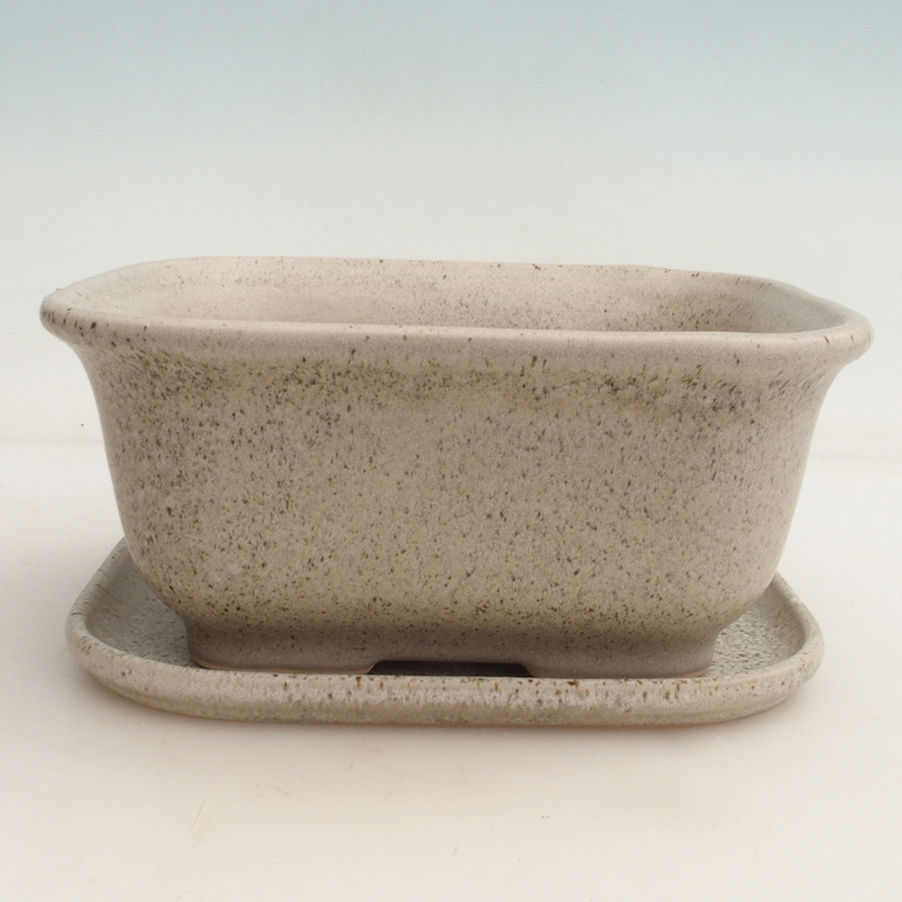 Cuenco bonsái + platillo H36 - 17 x 15 x 7,5 cm.